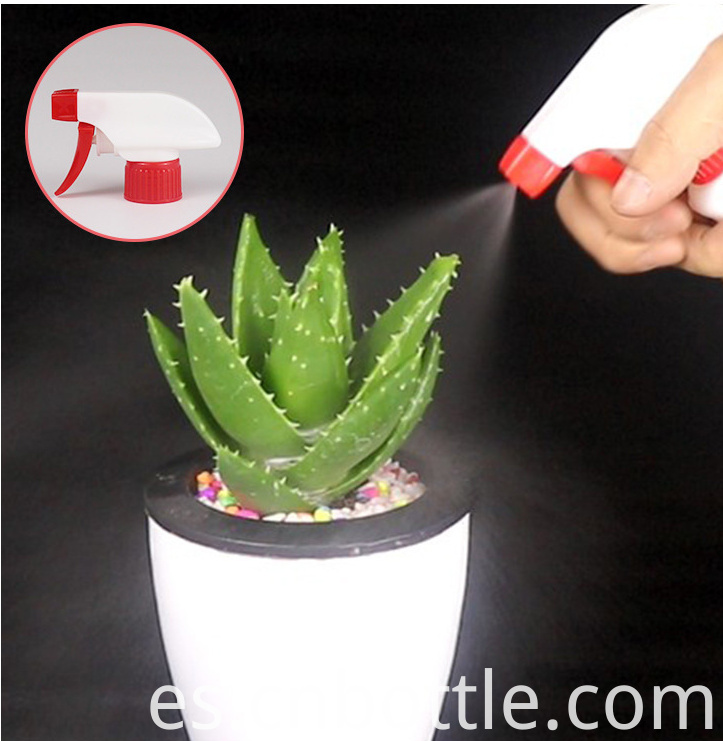 Botella limpiadora desinfectante Disinfectant Cleaner Bottle
